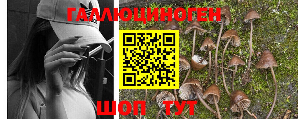 что такое наркотик  Галлюциногенные грибы MAGIC MUSHROOMS  Вход с VPN  Полысаево  Галлюциногенные грибы Magic Shrooms 