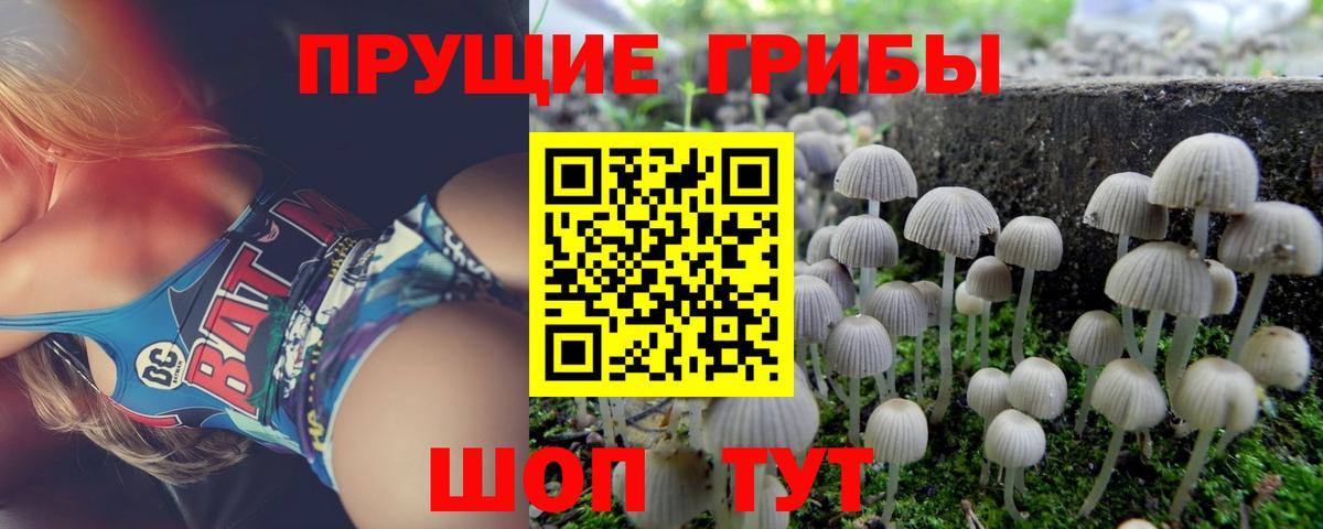 Псилоцибиновые грибы Magic Shrooms Полысаево